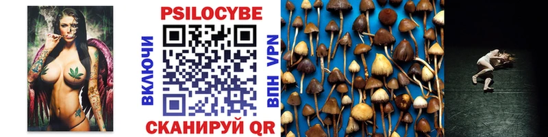 Купить Краснознаменск Галлюциногенные грибы мухоморы